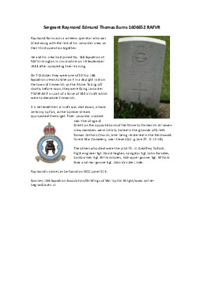A preview of a PDF biography for Burns, Raymond Edmund Thomas